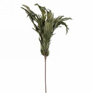 TIGE DE FEUILLE VERT OLIVE TROPICAL