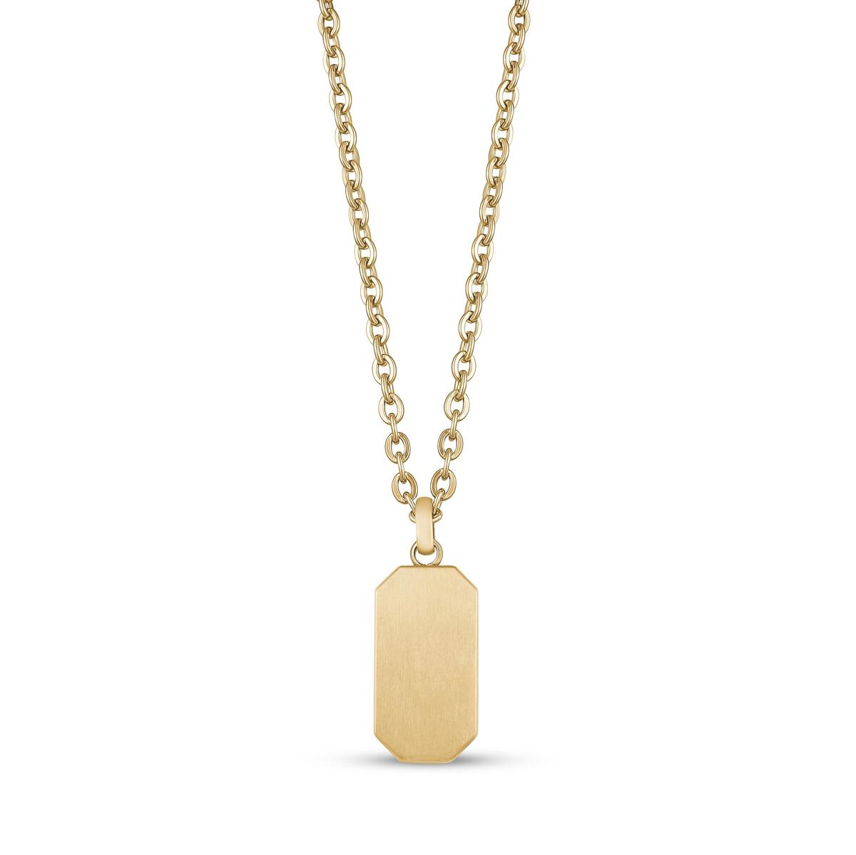 CHAINE AVEC PENDENTIF PLAQUE D'IDENTITÉ POUR CENDRE ARZ STEEL