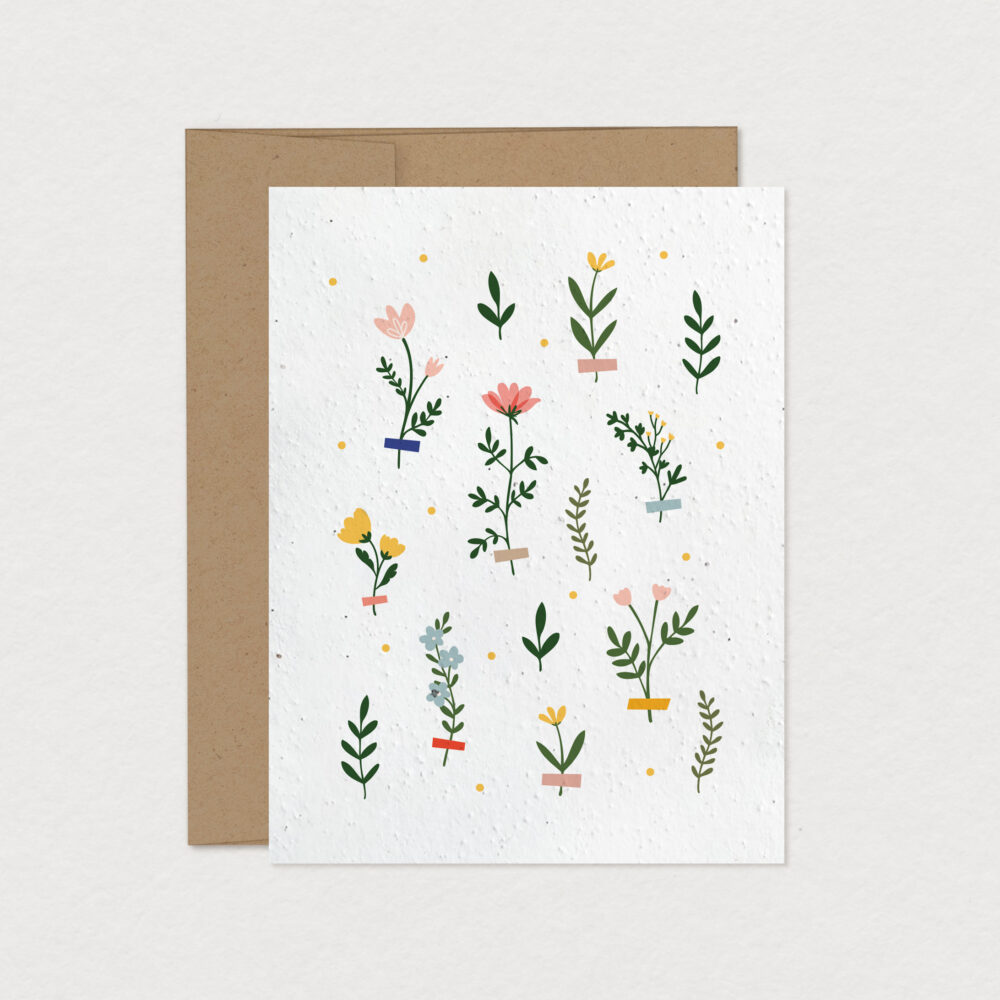 CARTE ENSEMENCÉE - HERBARIUM
