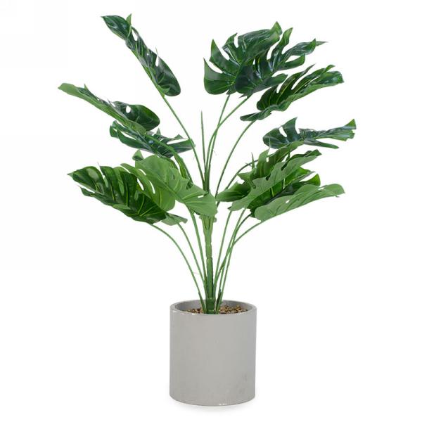 PLANTE DÉCO DANS POT
